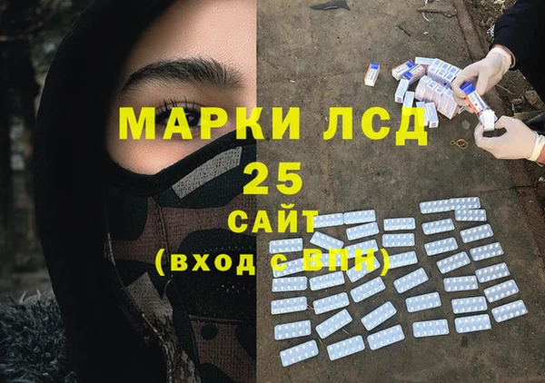 PSILOCYBIN Медвежьегорск