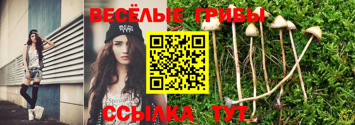 Менделеевск  Галлюциногенные грибы прущие грибы  Вход с VPN  купить наркоту  Псилоцибиновые грибы ЛСД 